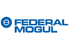 Recognoil reference logo - cleanliness before gluing FEDERAL MOGUL